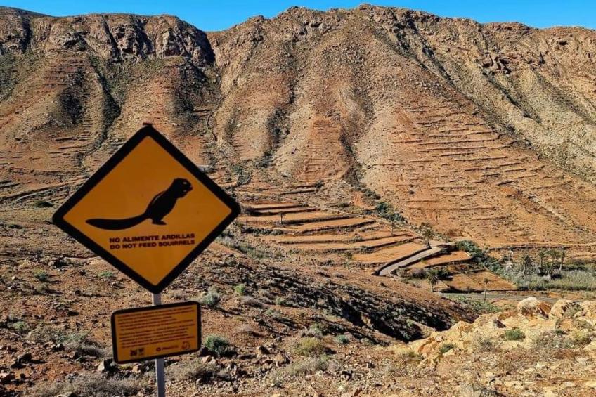 Duplex Casa Maya Caleta de Fuste - foto 50