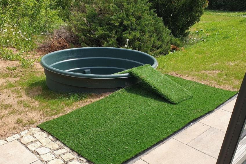 Buchengrund - foto 20