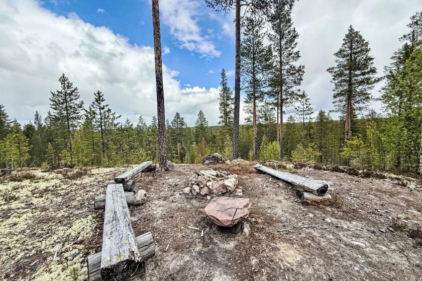 Kringelfjorden Renen - foto 30