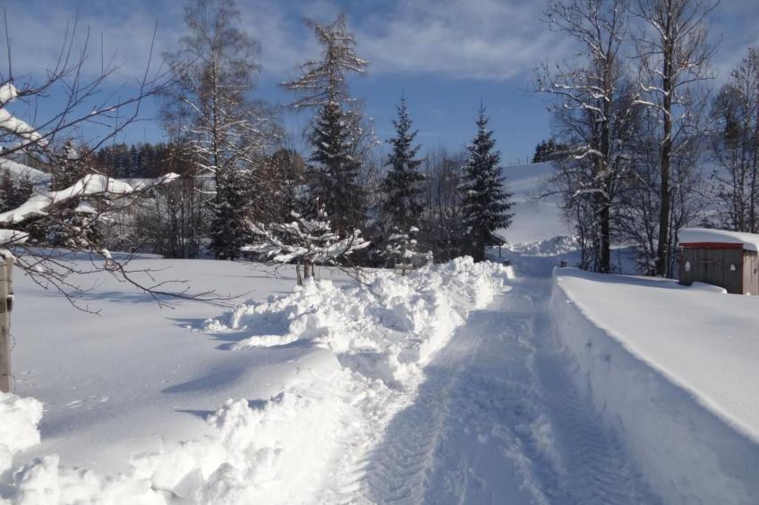 Hof Bommes - foto 15