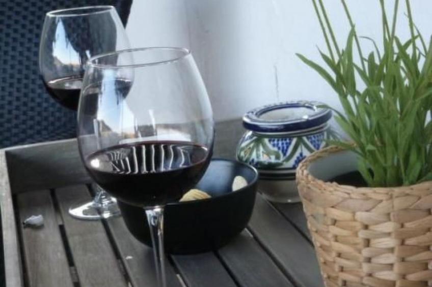 Finca "La Estrella de Cómpeta". - foto 21