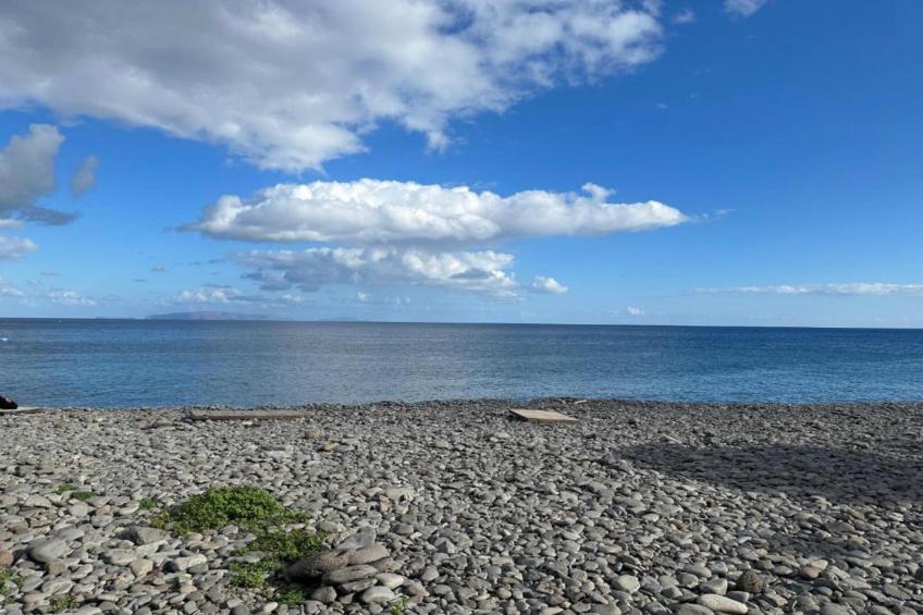 Quinta das Colmeias House - foto 35