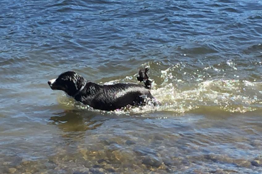 Ölrun Stuga - foto 24