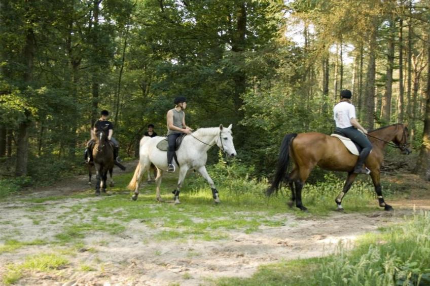 Buitenplaats Gerner 8 - foto 25