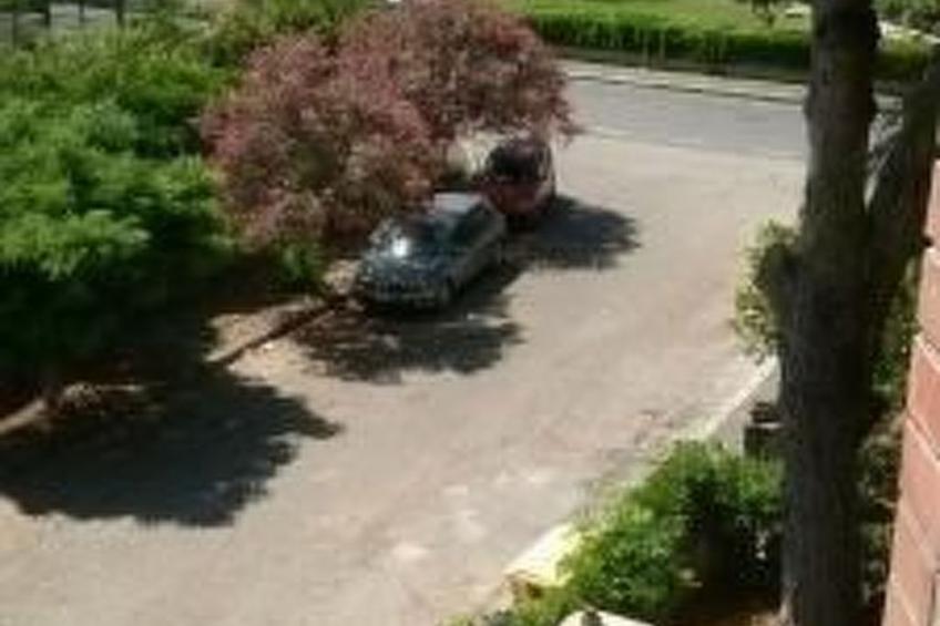 Penthouse mit großer Terrasse - foto 28