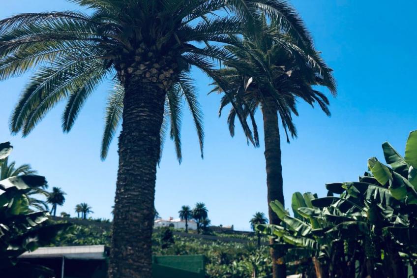 Villa los palmitos Familiäre Privatvilla mit Pool - foto 13