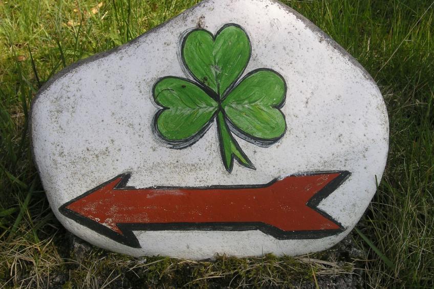 Minie's Cottage Wild Atlantic Way - foto 33