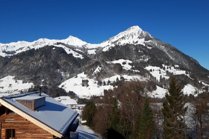 Chalet Wenger Appartement/Fewo, Dusche und Bad, WC, Balkon - foto 14