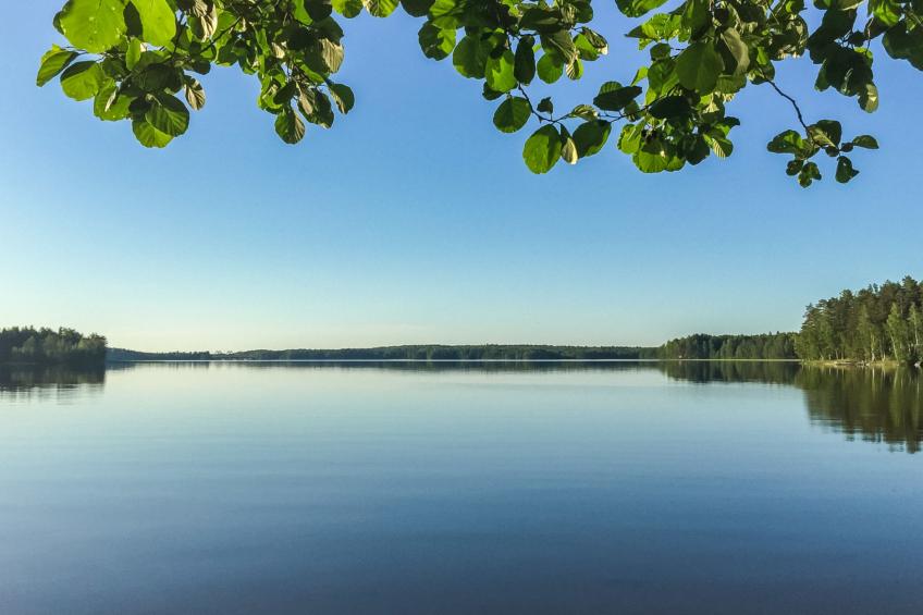 Kettukallio - foto 5