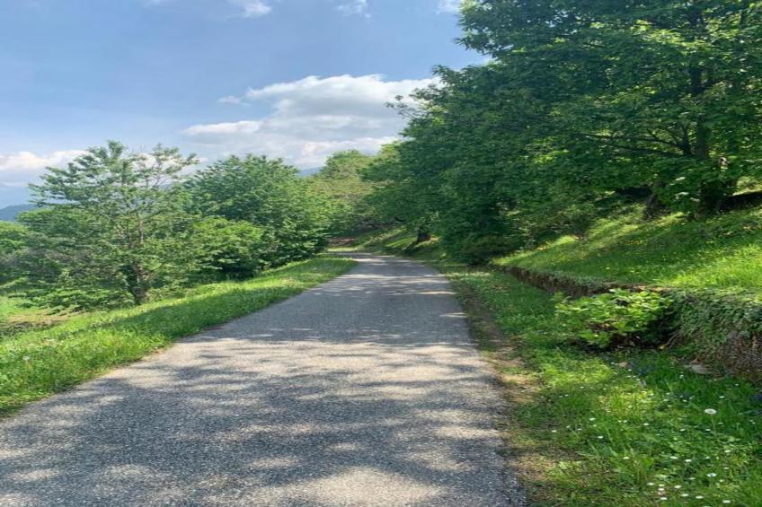 Casa dei Nonni - foto 38