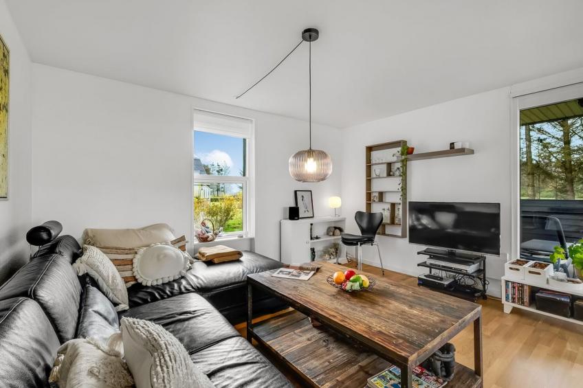 "Aleida" - 100m to the inlet in Western Jutland - foto 30