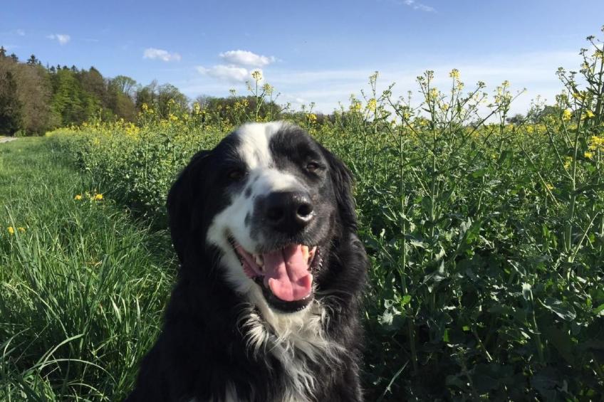 Feierlenhof, 2-Zimmerwohnung Granny, Parterre - foto 10