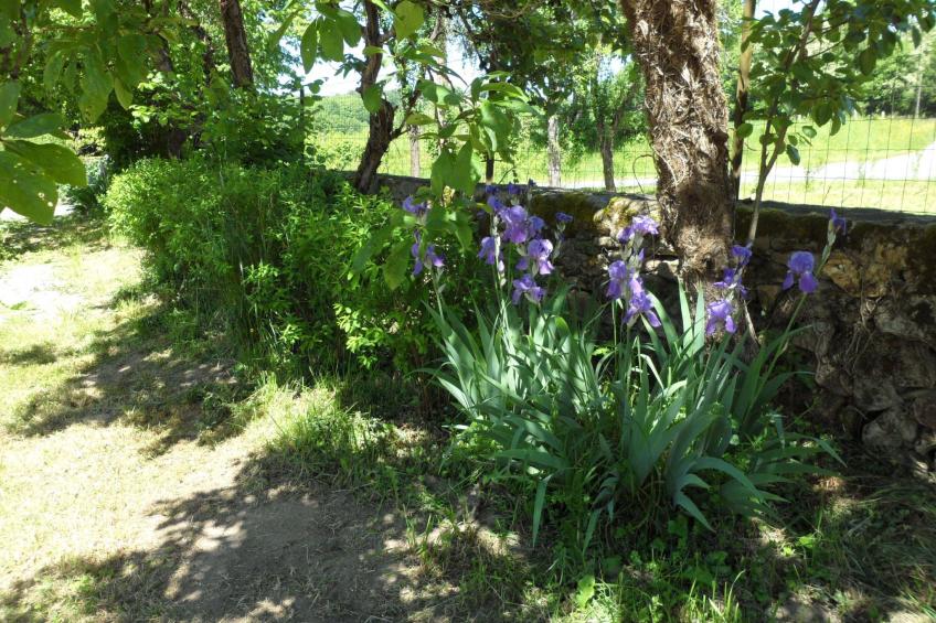 "Aelise" mit eigenem Pool - foto 5