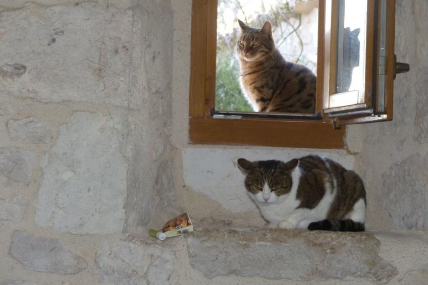 La Ferme des Paons - foto 21