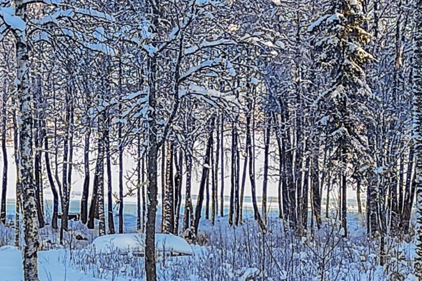 Annelinniemi - foto 33