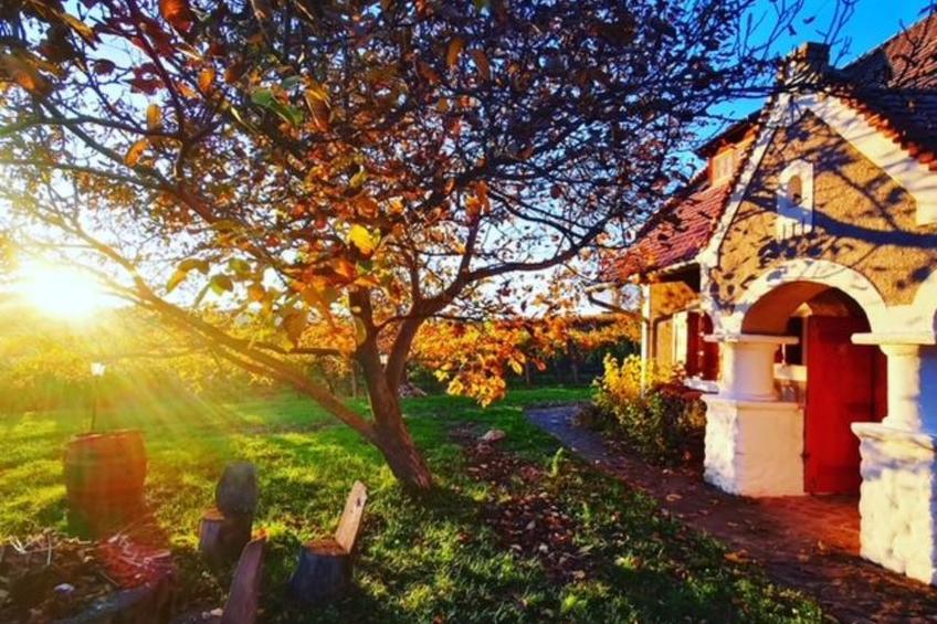 am Weinberg - foto 24