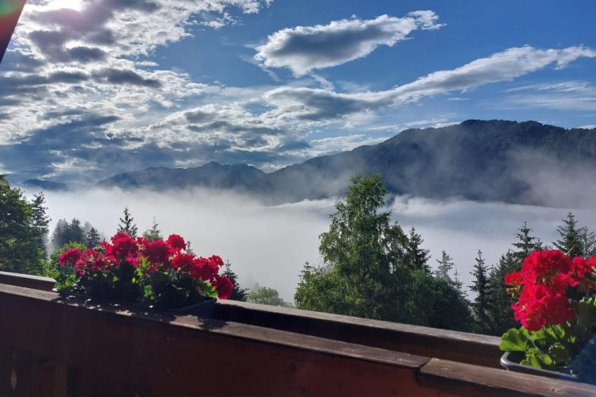 Reißkofel in Steinfeld - foto 5