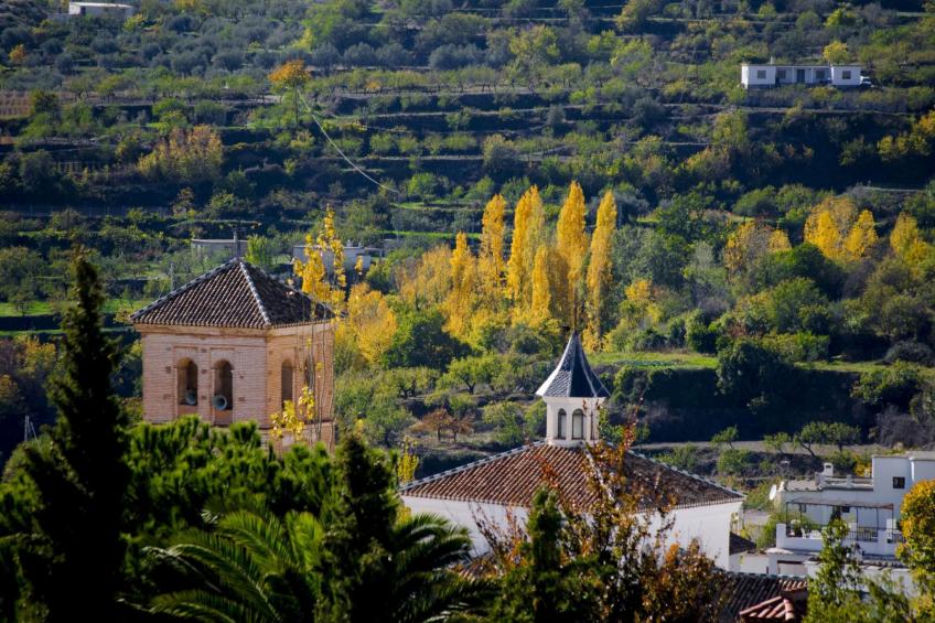 Landhaus mit zwei Schlafzimmern in La Alpujarra - foto 43