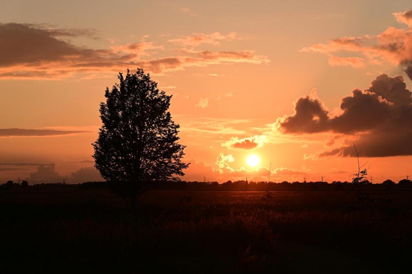 Tentlodge welness Patrijs - foto 30