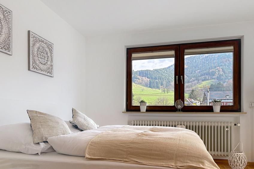 Sommer Apartements Schwarzwald - foto 27