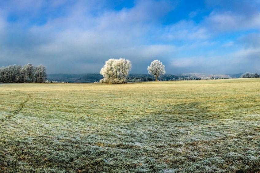 186667 - foto 23