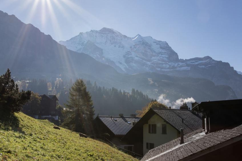 Drei Tannen - foto 7