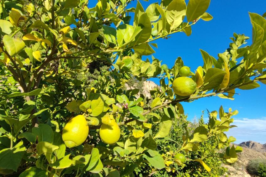 Domicilio de Vida - foto 59