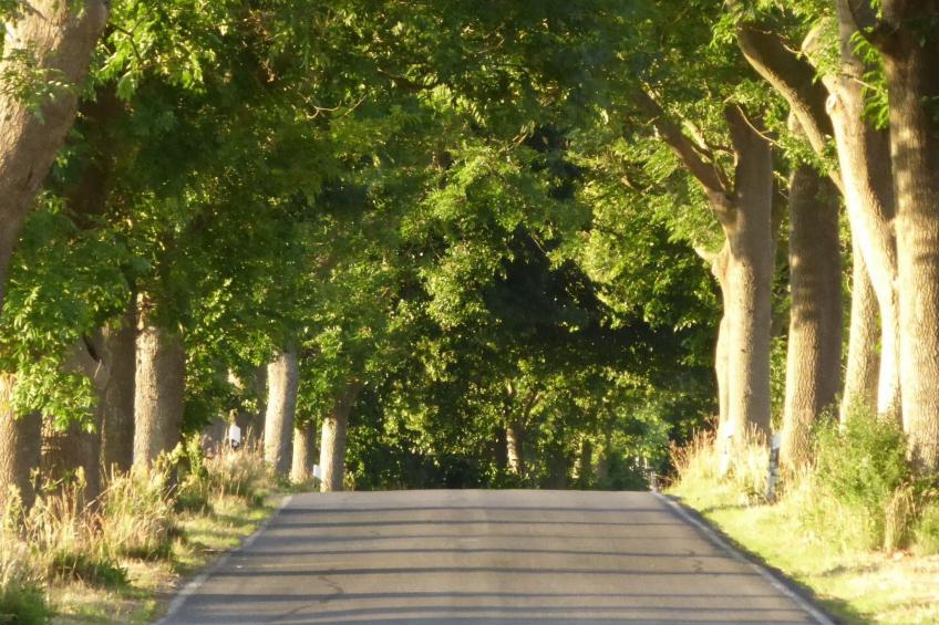 Hochwertige Ferienwohnung in Gingst - foto 40