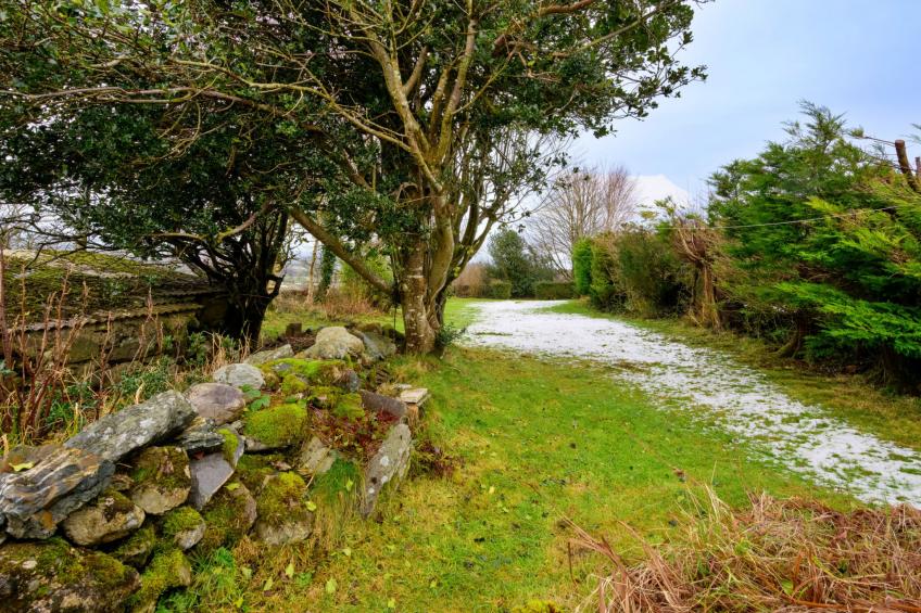 Merddyn Cottage - foto 19