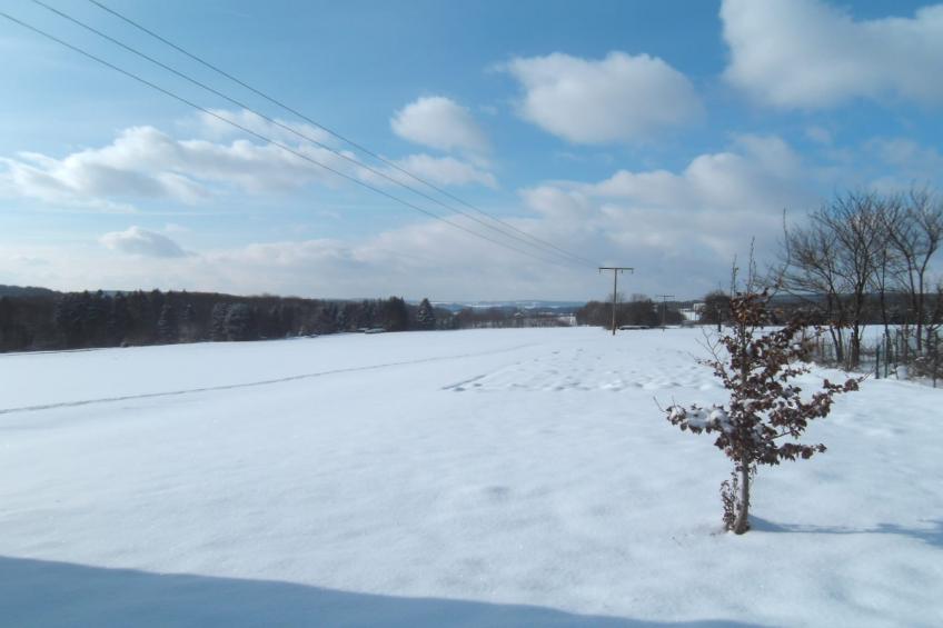 Nisterau - foto 31