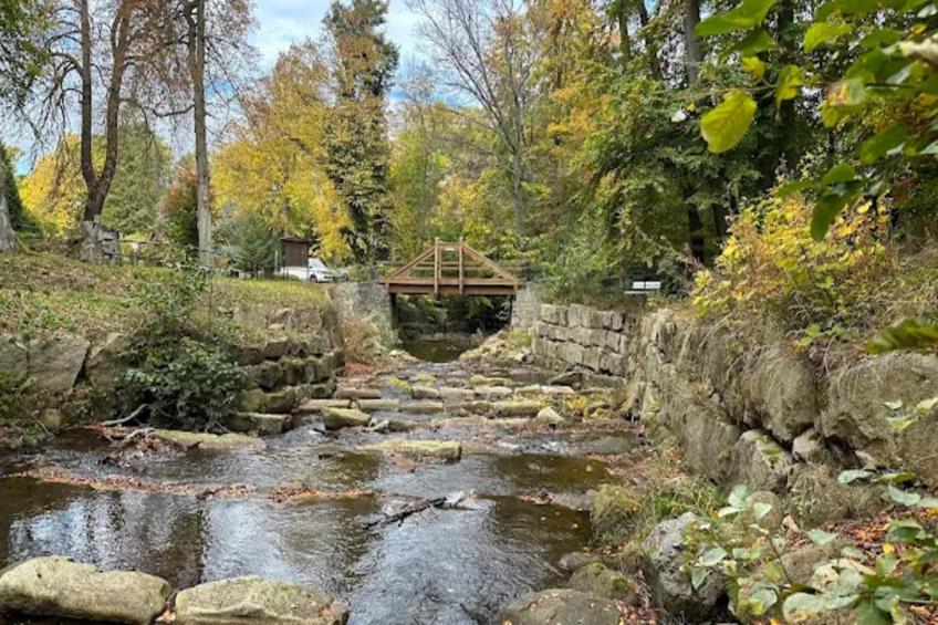 Haus Buchberg - foto 17
