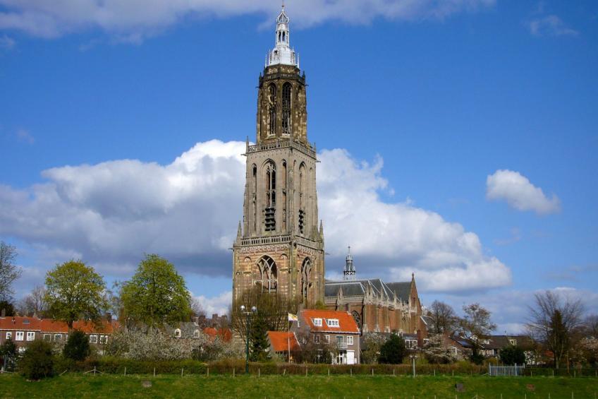 in Rhenen bei Grebbeberg und Wald - foto 12