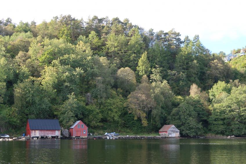 Grønnehytta (FJH606) - foto 25