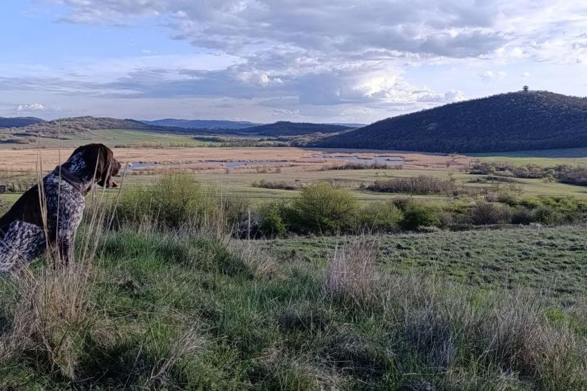 Ferienwohnung - foto 25