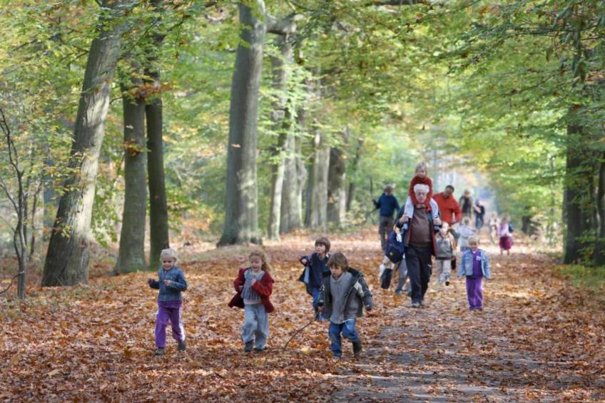 Glamping Resort Lauwersmeer 1 - foto 20