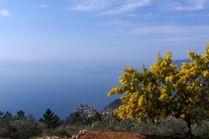 mit Wasserblick - foto 37