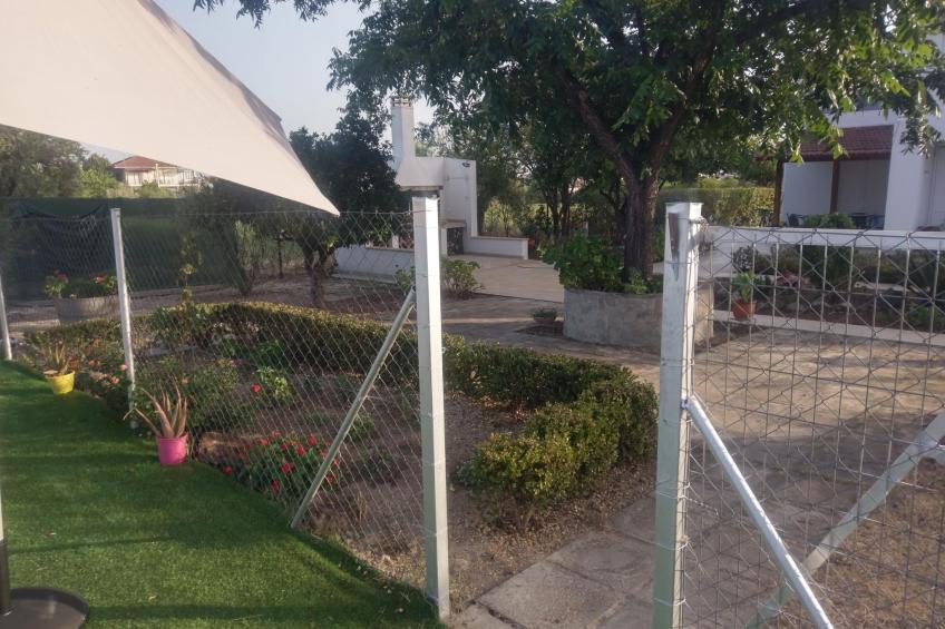 neben Orangenbaum-Obstgarten - foto 28