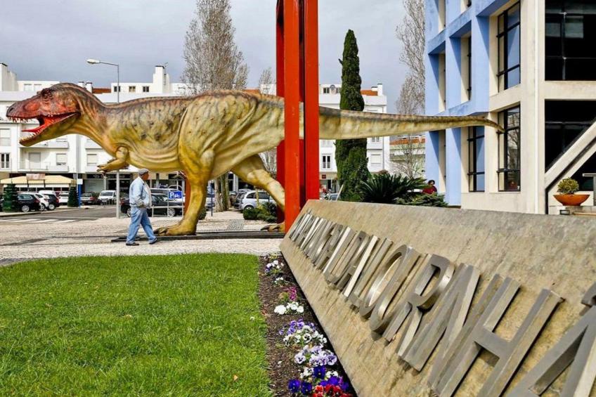 Der Ausguck - foto 43