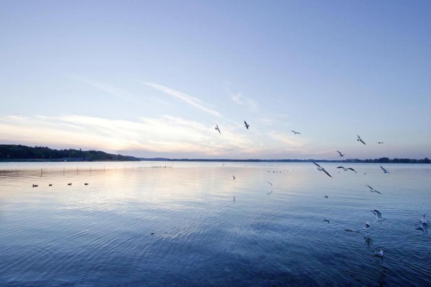 Apartments im MAREMÜRITZ Yachthafen Resort & Spa, Waren an der Müritz - Type B - foto 30