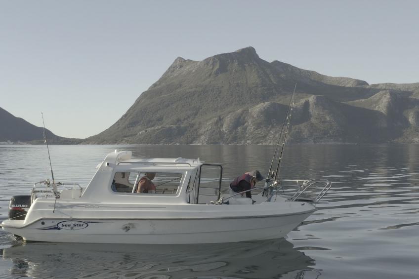 Meløy Naturopplevelser Tømmervik - foto 36