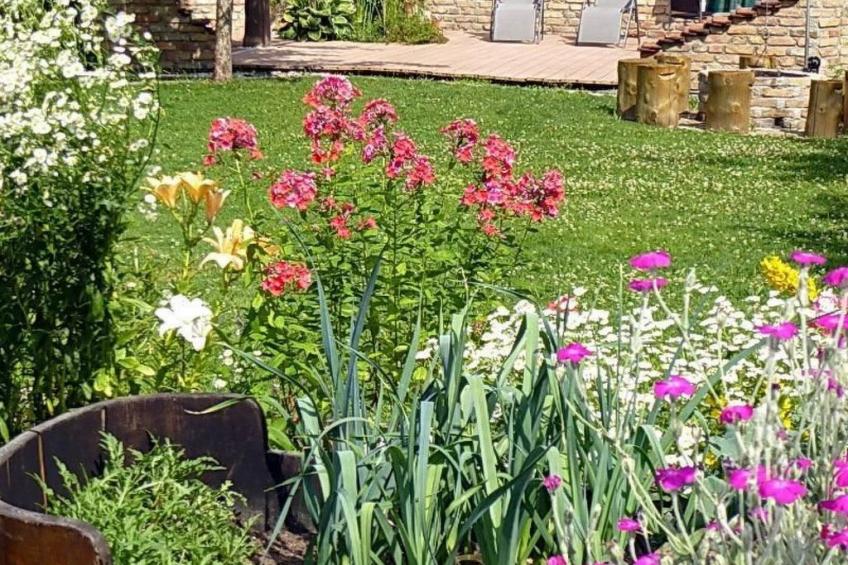 Appartement in Bad Bayersoien mit Großem Garten - foto 15