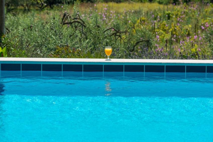 Apartments Villa Harmonia - Comfort One-Bedroom Apartment with Balcony and Shared Pool - foto 15