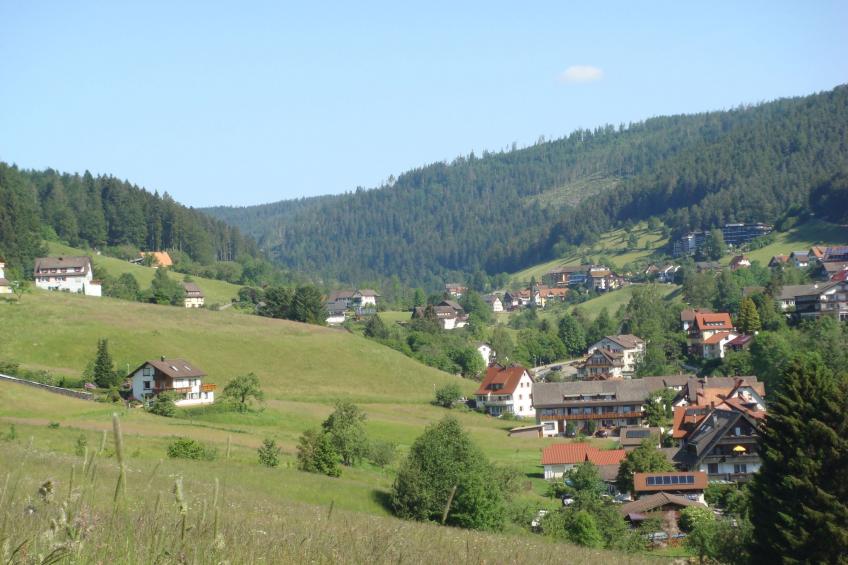 Schwarzwald Idylle - foto 21