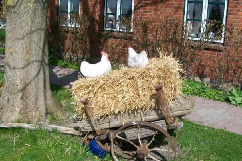 mit Terrasse - foto 19