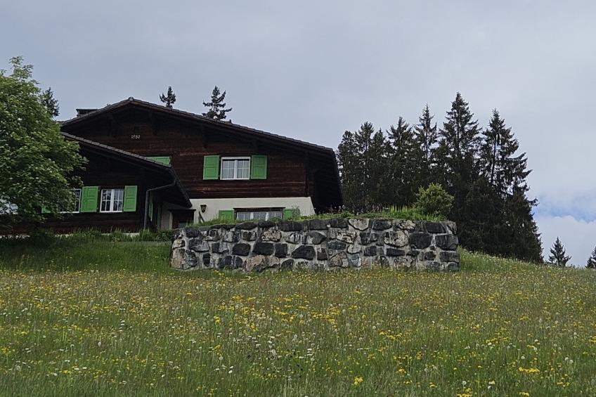 Chalet Raggälia, (Pany), ragaelia_pany - foto 15