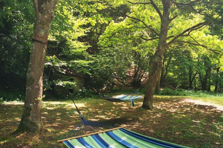 Apartment Naturpark - foto 30