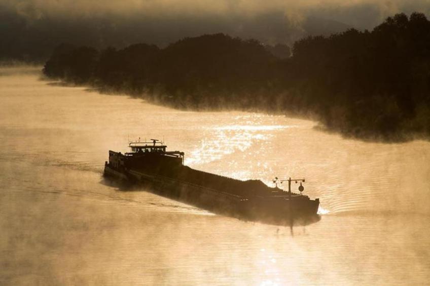Ferienhaus der Saison an der Mosel - foto 29