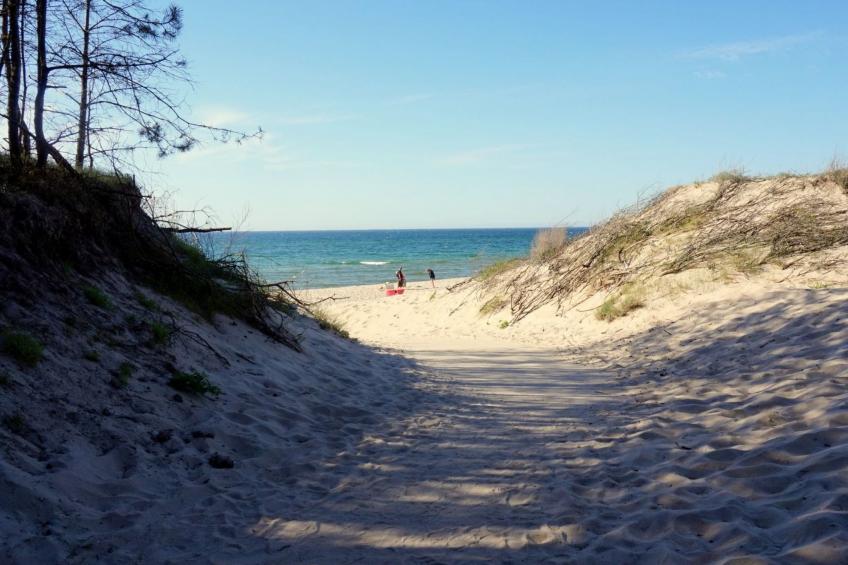 "Paradise Star Bobolin" - foto 25