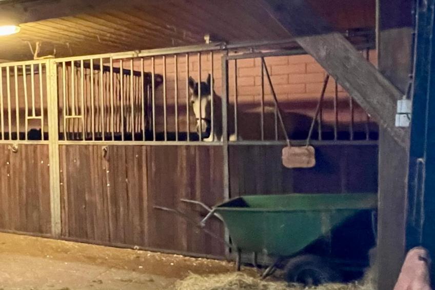 de Binnenhof - foto 48