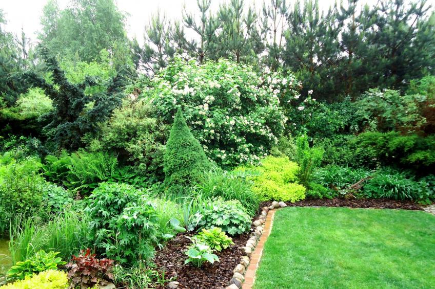 Apartment Royal - foto 7